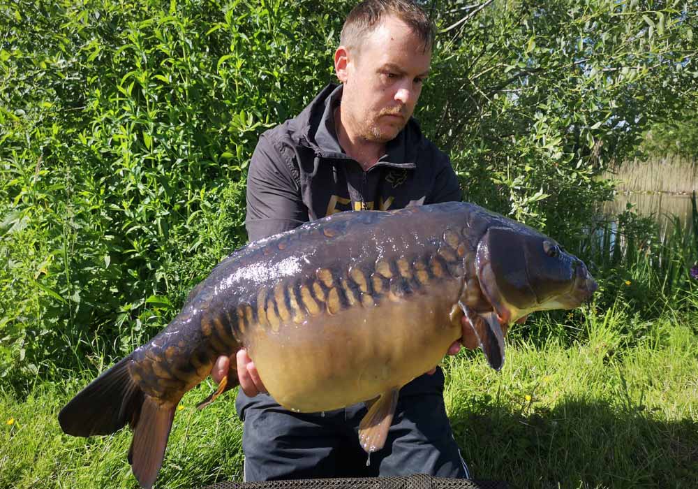 Mirror Carp